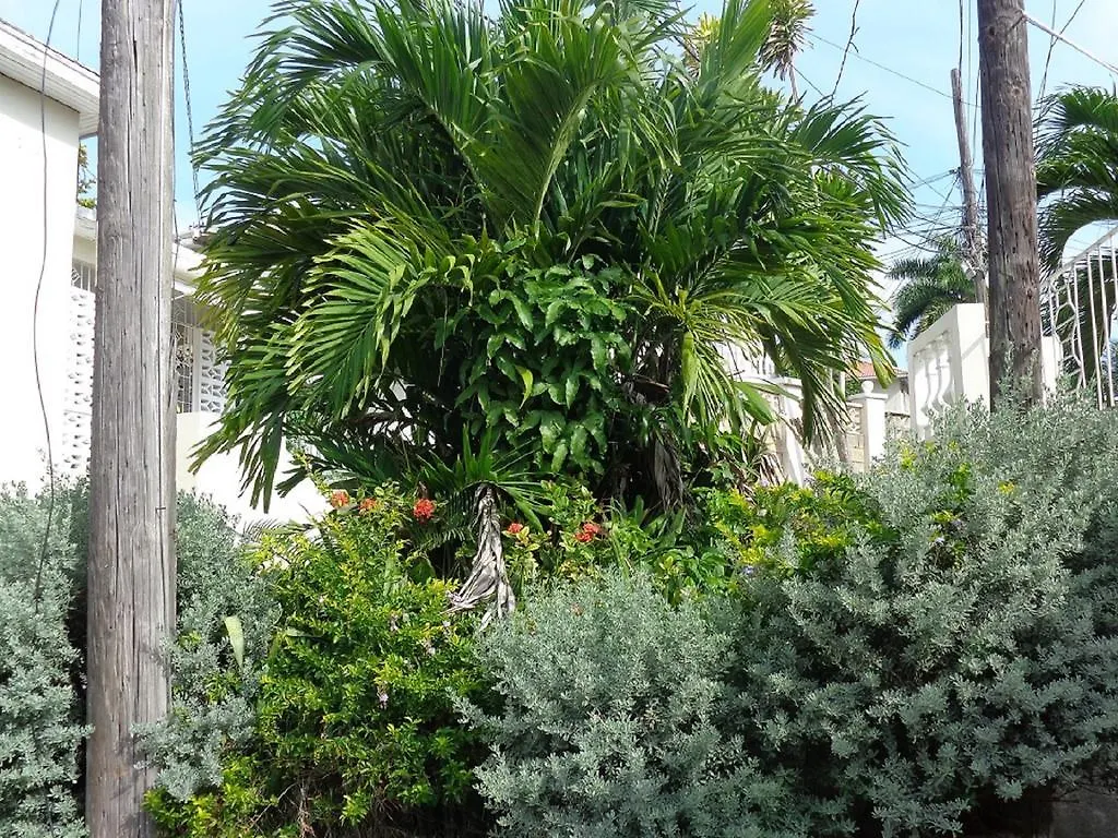 ** Pensión Bethel Court Guesthouse Montego Bay Jamaica